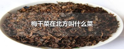 ​梅干菜在北方叫什么菜