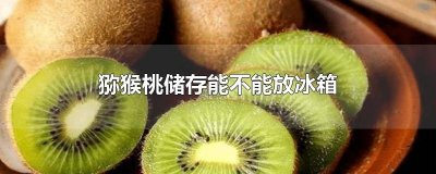 ​猕猴桃储存能不能放冰箱