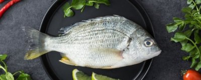 ​百花鱼是海鱼吗