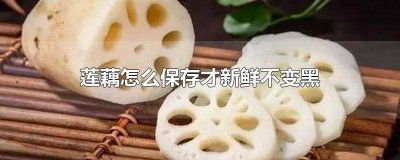 ​莲藕怎样保存不变黑 莲藕挖出后怎么保存不发黑