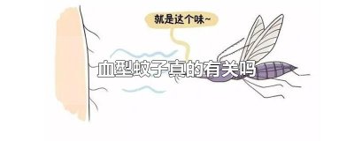 ​血型蚊子真的有关吗