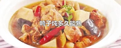 ​鸭子炖多久能熟
