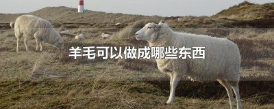 ​羊毛可以做成哪些东西