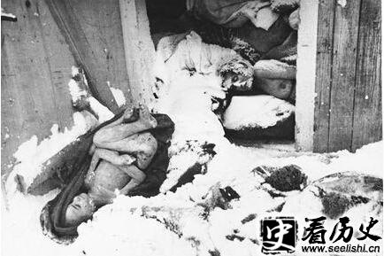 二战三大惨案之波兰奥斯维辛集中营惨案