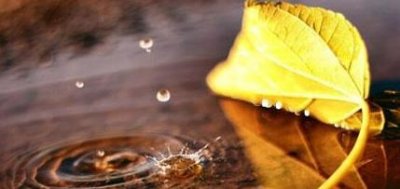 弘一法师对人生感悟境界(弘一法师说过的经典话语)