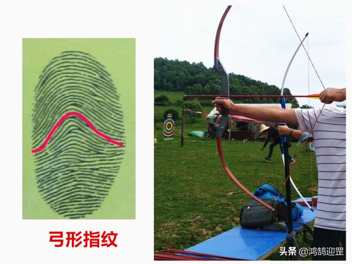 历史上十个簸箕的人物（汉武帝就有10个簸箕）