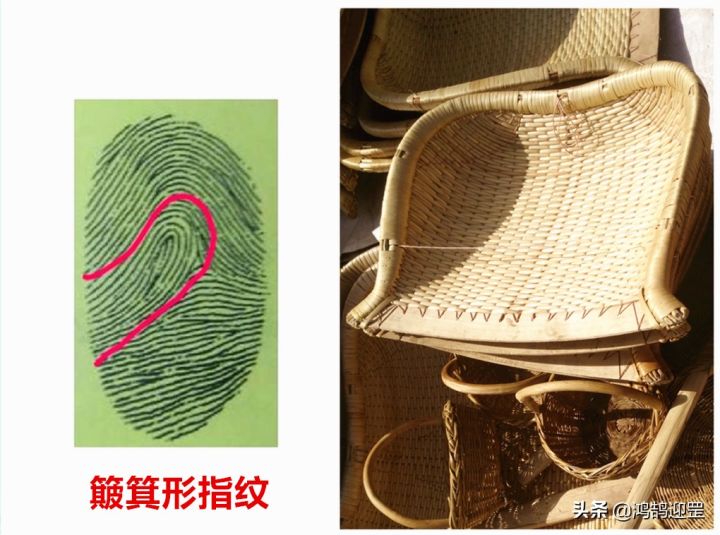 历史上十个簸箕的人物（汉武帝就有10个簸箕）