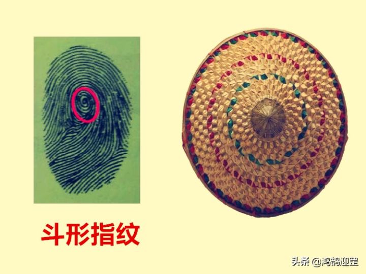 历史上十个簸箕的人物（汉武帝就有10个簸箕）