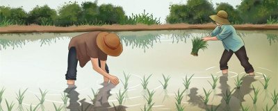 ​芒种的寓意和象征