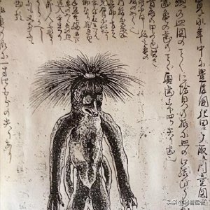 ​传说中的怪物河童现身日本？目击者拍下照片？超自然生物真存在？