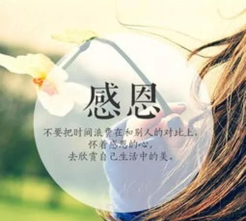 特别感恩感激的话语：50句感恩或感的话