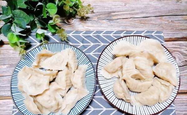 不放肉的饺子馅有哪些,茴香和肉包饺子怎么做好吃图11