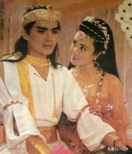 傅家的儿女们简介，傅明简介-第1张图片-