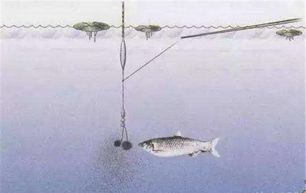 冬天钓鱼技巧大全入门：冬季室内钓鱼技巧