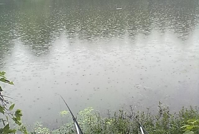 冬天钓鱼技巧大全入门：冬天怎么钓鱼 冬天的钓鱼技巧