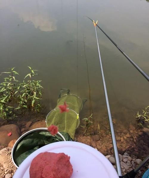 冬天钓鱼技巧大全入门：怎么学会冬天钓鱼