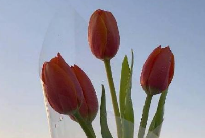 女人致自己的生日感言,37岁女人生日感言图2