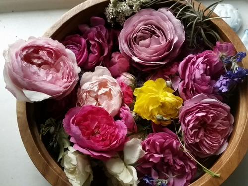 吹风机快速制作干花（5种制造干花的最简单教程）