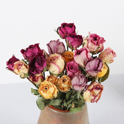 吹风机快速制作干花（5种制造干花的最简单教程）