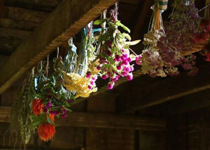 吹风机快速制作干花（5种制造干花的最简单教程）