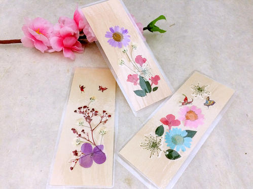 吹风机快速制作干花（5种制造干花的最简单教程）