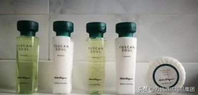 ​巴黎文华东方酒店(巴黎文华东方酒店价格)