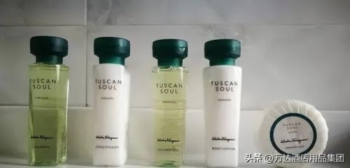 巴黎文华东方酒店(巴黎文华东方酒店价格)-第1张图片-