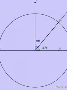 ​sin是什么意思(since是什么意思)