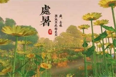 ​处暑要吃鸭子吗 处暑吃鸭子的寓意