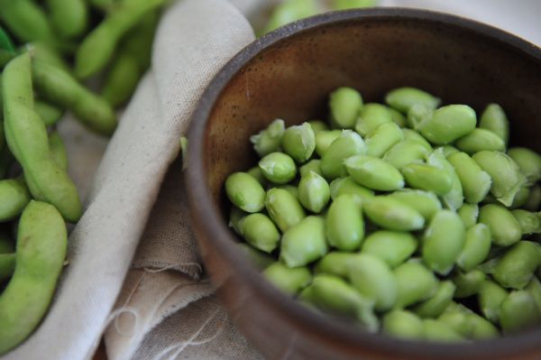 炒豆子的家常做法（超简单青椒炒毛豆家常菜教程分享）