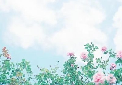 ​2024年绍兴社保缴费最低标准最新：绍兴社保个人和公司各承担多少费用