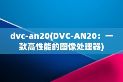 dvcan20(DVCAN20:一款高性能的图像处理器)