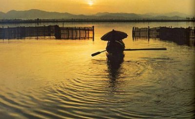 ​《故乡》简介