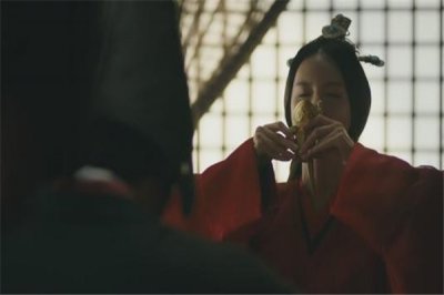 ​鸠酒和鸩酒的关系 ：史书上仅有记载鸩酒（毒酒的代名词）