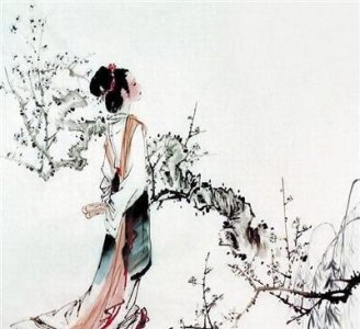 ​古代形容女子美貌的诗(形容女子美貌的古诗词)