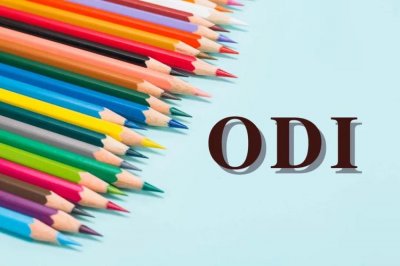 ​odi是什么意思（odi解释）