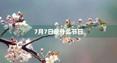 ​7月7日是什么节日(9月30日是什么节日纪念日)