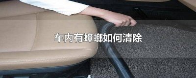 ​车里有蟑螂怎么清理干净 车里有蟑螂怎么清理掉
