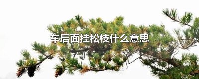 ​车后面挂松枝什么意思