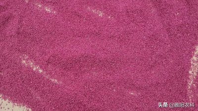 ​蚍虫林有什么功能（吡虫啉这5个黄金配方）