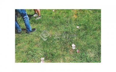 ​让女人倒追你的方法