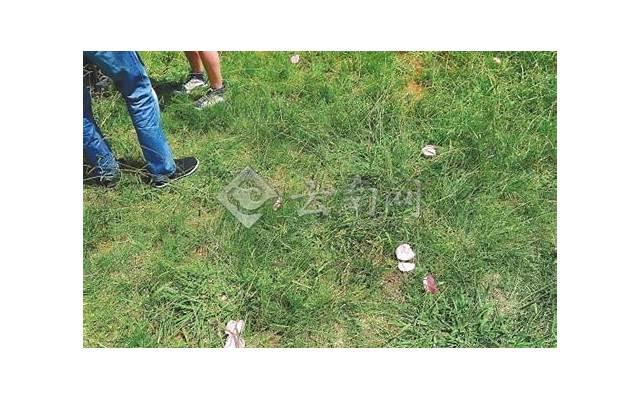 让女人倒追你的方法