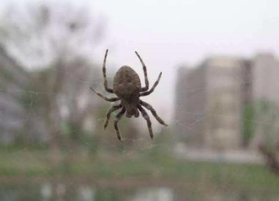 ​民间四大喜事分别是什么[疑问](人生的四大喜事和四大悲事是什么?)