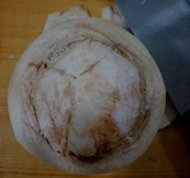 椰子怎么打开椰子的正确打开方法(椰子怎么打开的教程)(7)