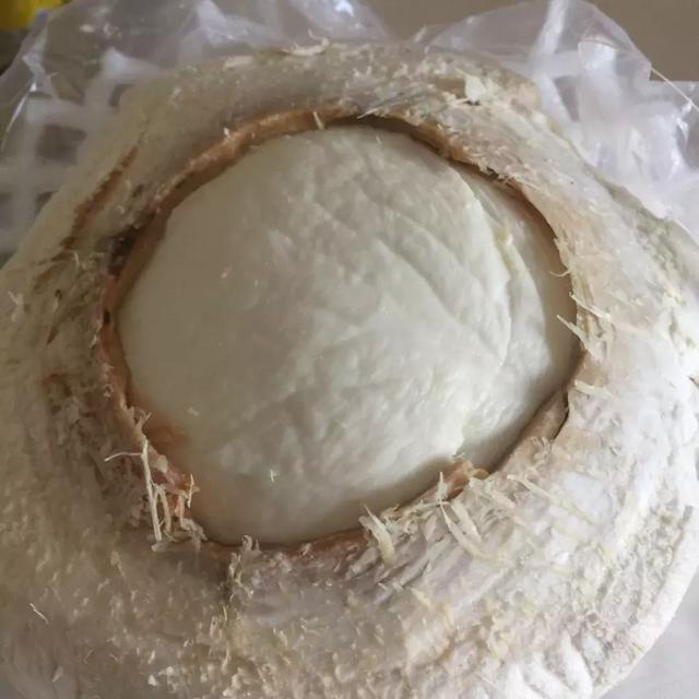 椰子怎么打开椰子的正确打开方法(椰子怎么打开的教程)(11)