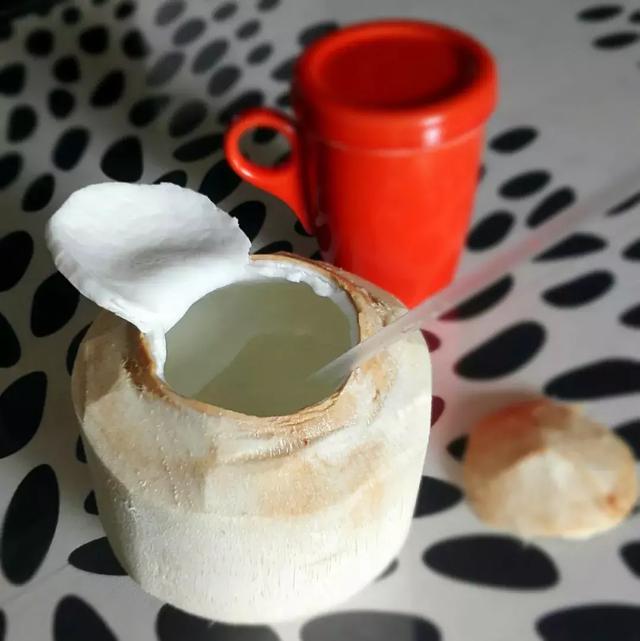 椰子怎么打开椰子的正确打开方法(椰子怎么打开的教程)(10)