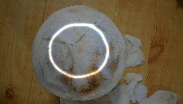 椰子怎么打开椰子的正确打开方法(椰子怎么打开的教程)(5)