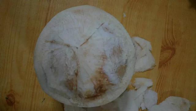 椰子怎么打开椰子的正确打开方法(椰子怎么打开的教程)(4)