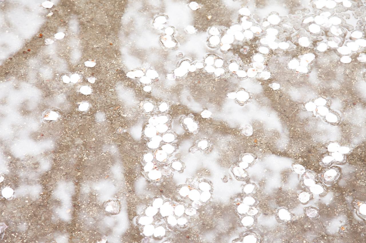 三十六种命格排名十大罕见命格