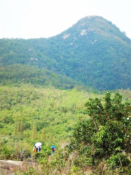 被誉为“中山十景之一”的五桂山,是珠江口最高峰,风景如画